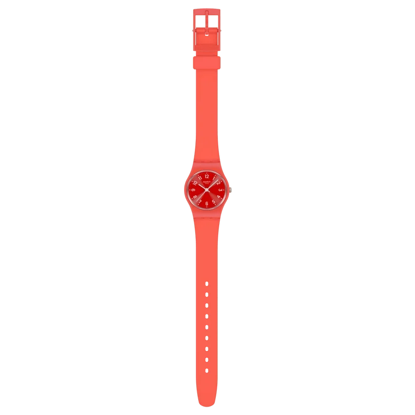 Anmerkungen zu „Coral“