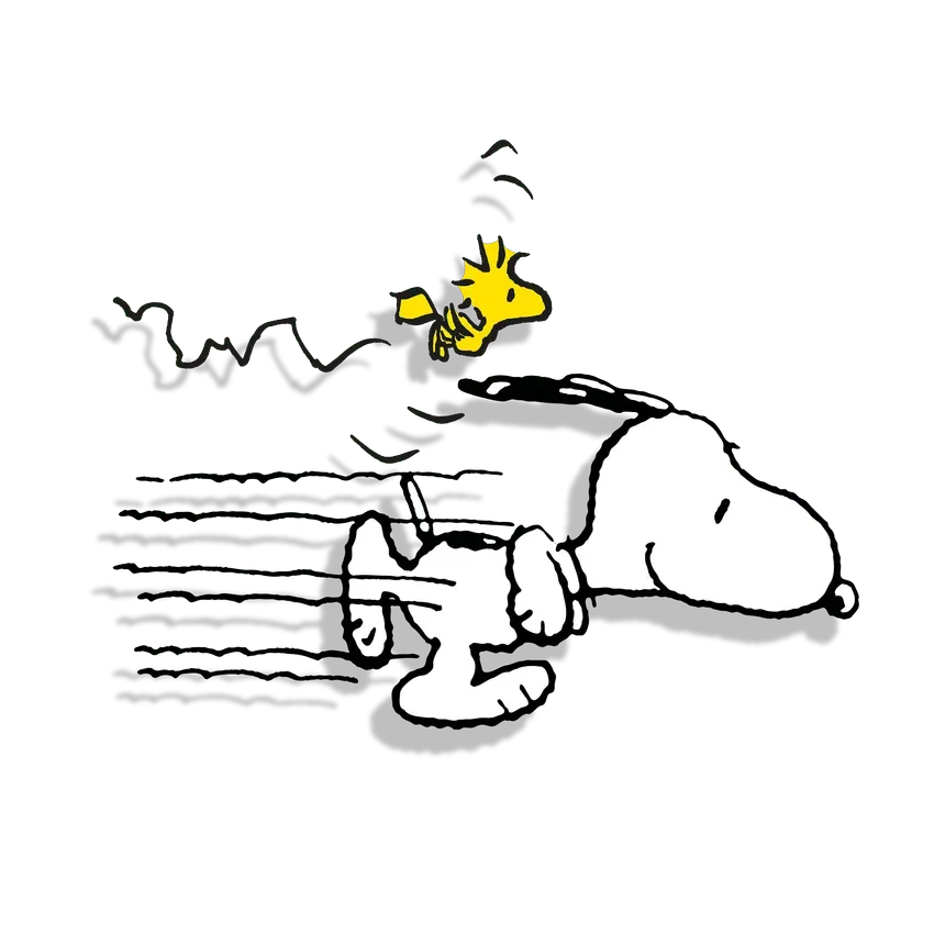 Grande Bracchetto