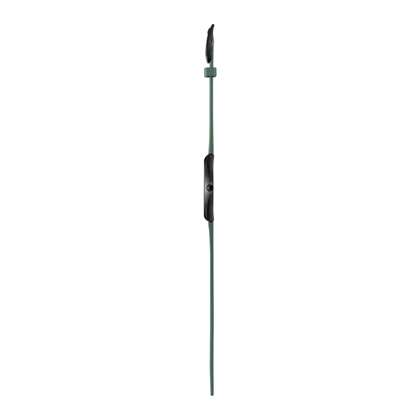 Green Vision